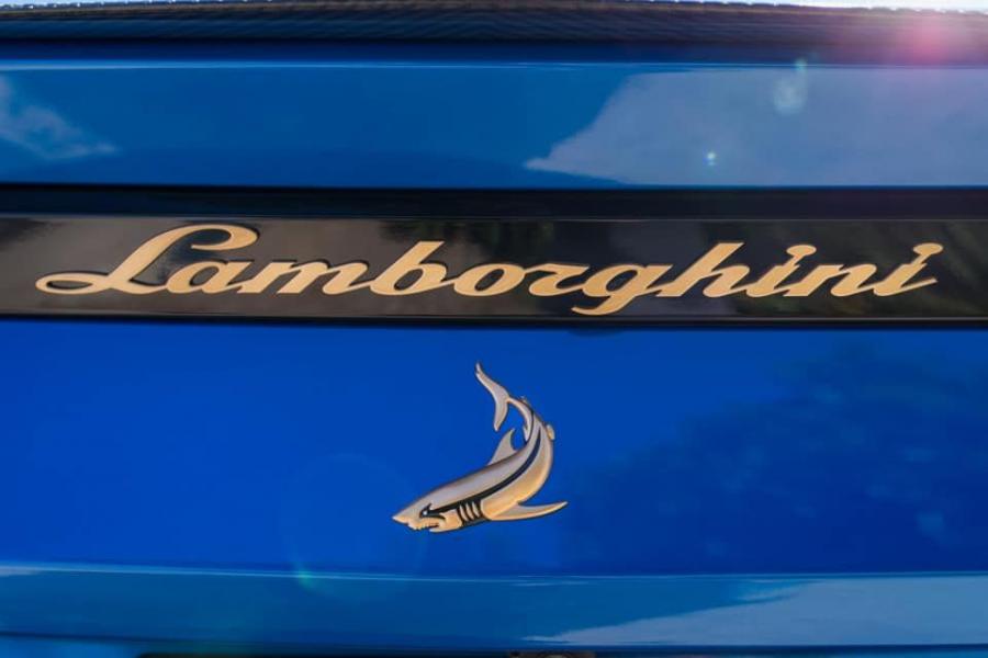 Логотип Lamborghini Urus Blu Eleos by TopCar 2019 года  (фото 14 из 15)